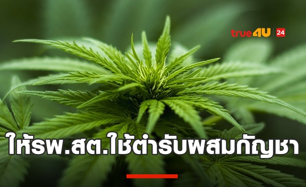 เห็นชอบใช้ยาตำรับผสมกัญชาในรพ.สต.