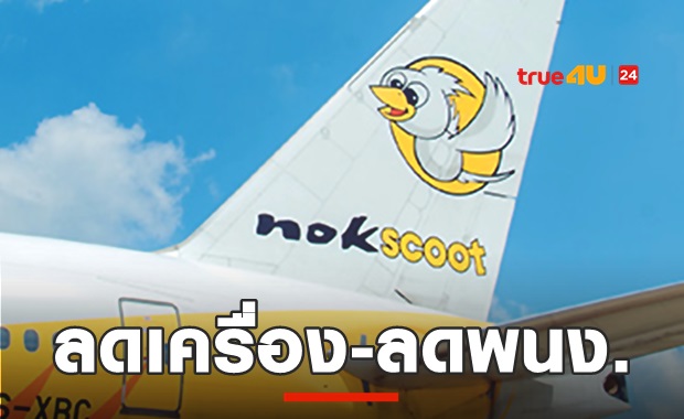 ยังไหว! นกสกู๊ตลดเครื่องบิน-พนักงาน ยันไม่ยุติการบิน